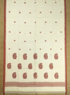 FULIA COTTON HANDLOOM SAREE