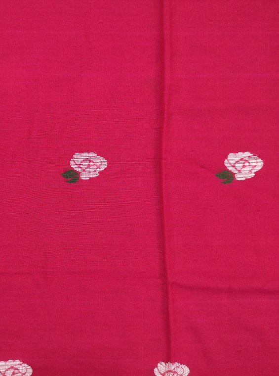 FULIA COTTON HANDLOOM SAREE - Image 2