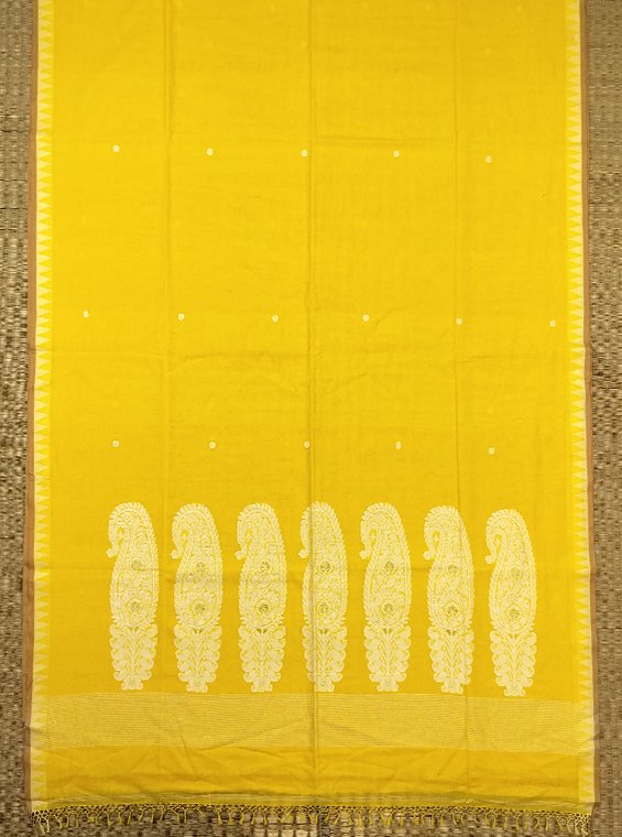 FULIA COTTON HANDLOOM SAREE