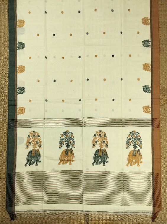 FULIA COTTON HANDLOOM SAREE