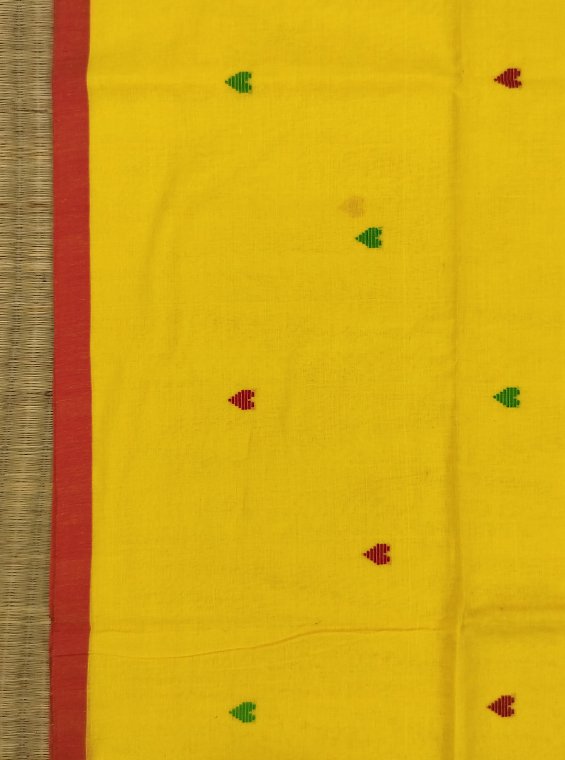 BEGAMPUR HANDLOOM COTTON SAREE - Image 2