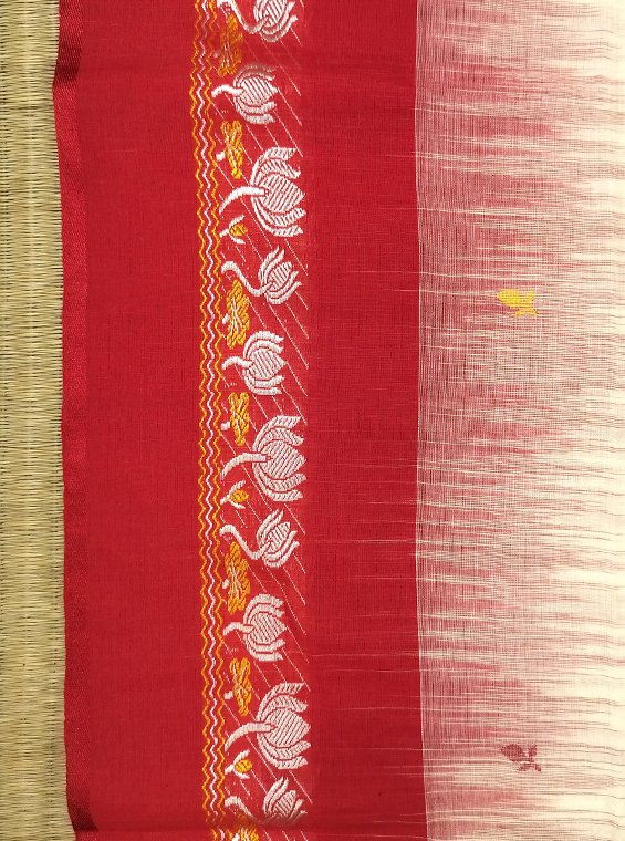 FULIA COTTON HANDLOOM SAREE - Image 2