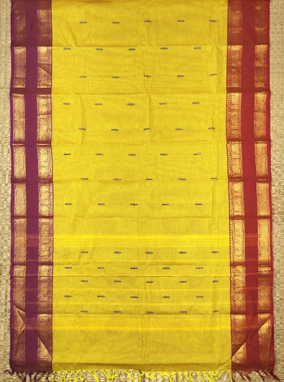 KANCHI COTTON HANDLOOM SAREE