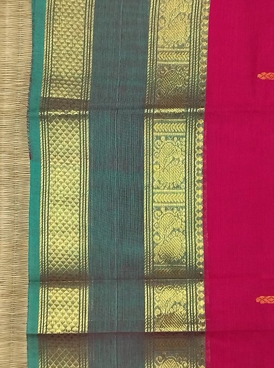 KANCHI COTTON HANDLOOM SAREE - Image 2