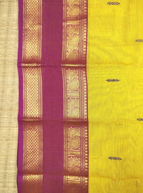 KANCHI COTTON HANDLOOM SAREE - Image 2