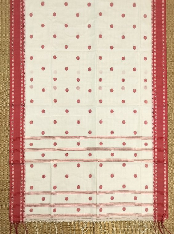 SHANTIPUR HANDLOOM COTTON SAREE