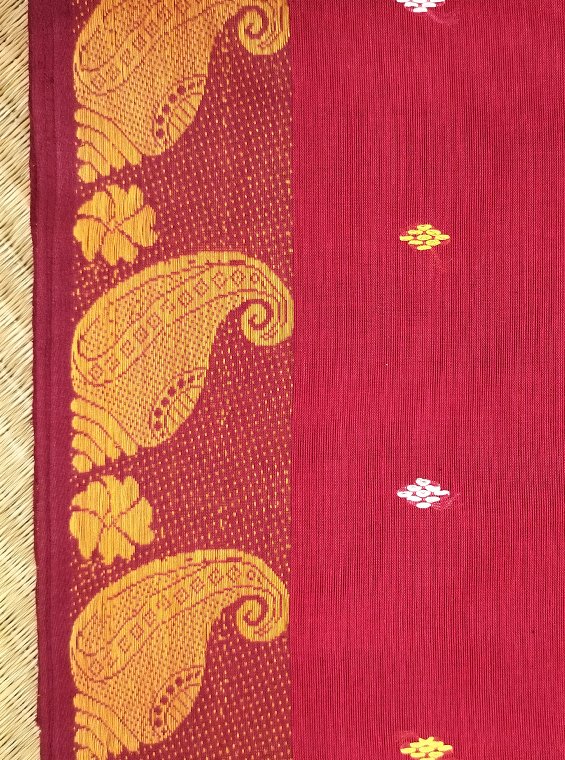 DHANIAKHALI COTTON HANDLOOM SAREE - Image 2