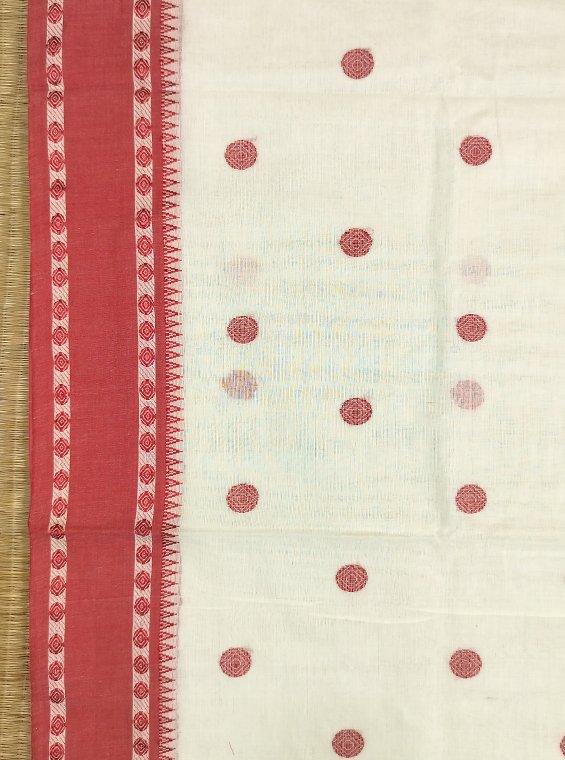 SHANTIPUR HANDLOOM COTTON SAREE - Image 2